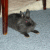 Elnara_ma profile picture