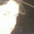 Elssar profile picture