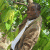 member eddymakafui