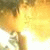 member elviz_quis