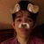 member elym_loaiz
