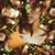 member eman_ibrah