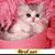 member emy_al_bal