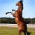 eng_zima profile picture