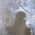 etoilefilante14 profile picture