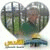member eyad_hijaz