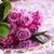 member eyad_mary