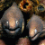 Fantom profile picture