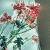 member Fatemeh_Moussavi