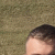 member FilipV