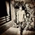 member fabian_seg