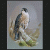 member falconD
