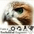 member fb_1494770155