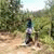member fb_1513752456