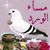 member fb_1533024070