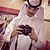 member fb_1535364890