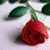 member fb_1535534148