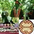 member fb_1535753010