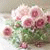 member fb_1540013119