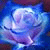 member fb_1544977318