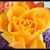fb_1544997148 profile picture