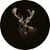 member fb_1556968617