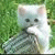 member fb_1558896144