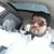 member fb_1564988988