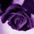 member fb_1576521948
