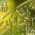 fb_1617669382 profile picture