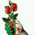 member fb_1627132195