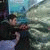 member fernando_m3