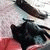 member fiona_henr