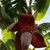 member florencio_