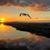 member fouad_foua3