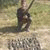 member fraj_ouert