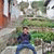 frank_sequ profile picture
