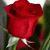 member frank_yebo