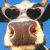 friky profile picture