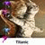 member ghala_alqa