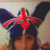 girlfrench profile picture