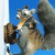 glouton-mana profile picture
