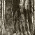godescalcus19 profile picture