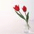 member gulderen_e