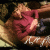 member HAYKSARGSYAN77067019