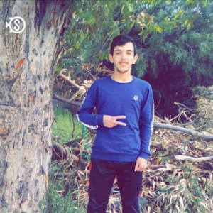 HanRoo