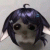 HimaNuvenzita profile picture