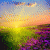 Hrystyna profile picture