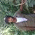 member h_s_2013