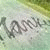 member haanky_gar